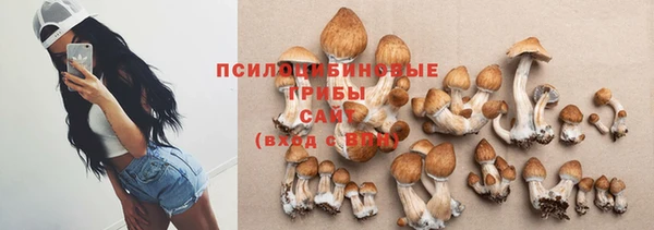 мдма Новозыбков