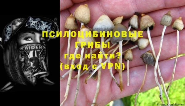 мдма Новозыбков