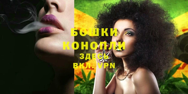 мдма Новозыбков