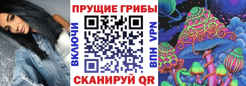 Псилоцибиновые грибы Cubensis  Семикаракорск 
